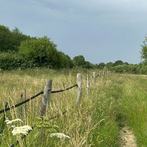PRairies et haies