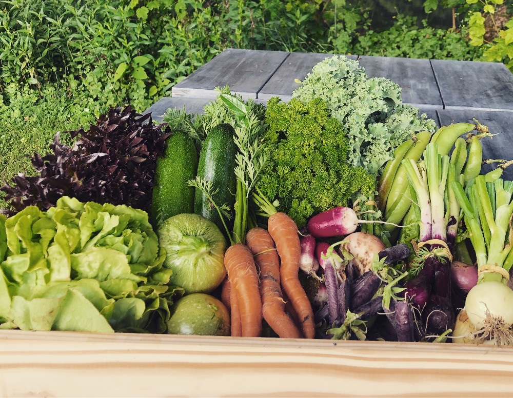 Manger local à Rambouillet avec les paniers de légumes bio de Grand Jardin