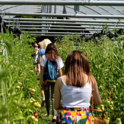 Atelier Nature 2 Activité Découverte du Maraichage
