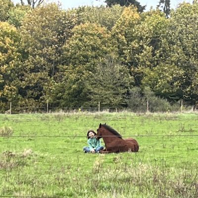 Poulain Un petit poulain est arrivé!