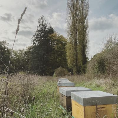 Ruches 2 10 rûches pour un vrai plein de miel