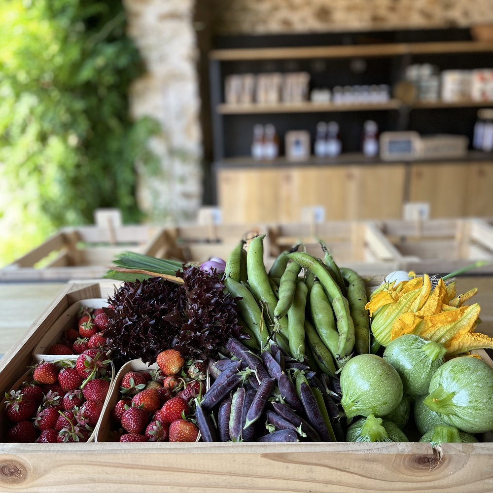 S’abonner, c’est contribuer ! Pourquoi des Paniers de Légumes Bio ?