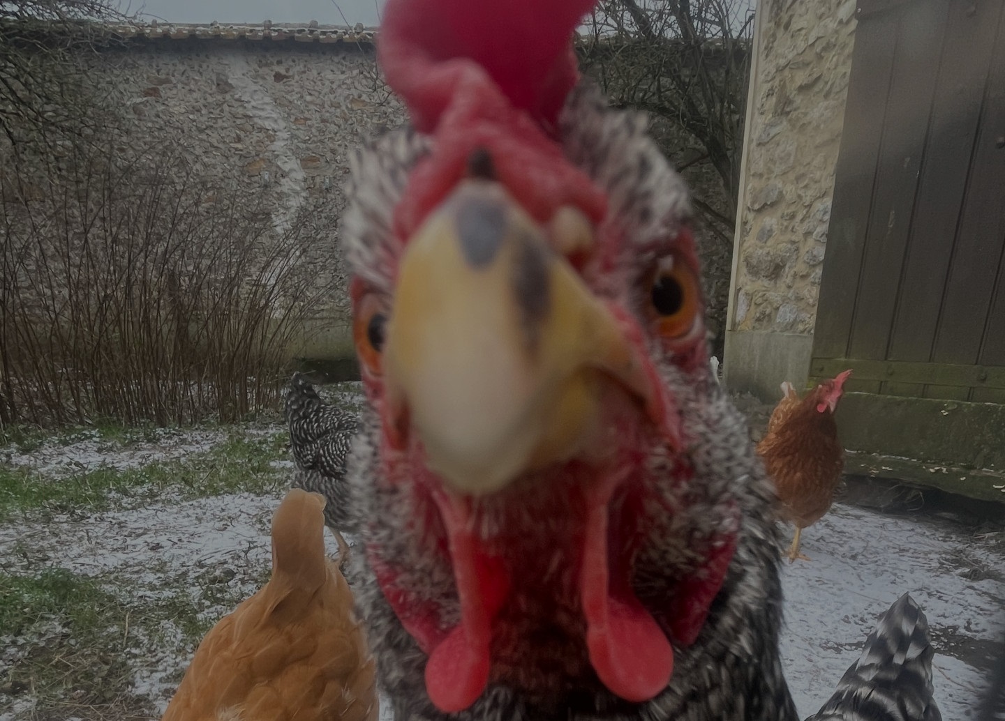 Colère des Agriculteurs – On a un avis!